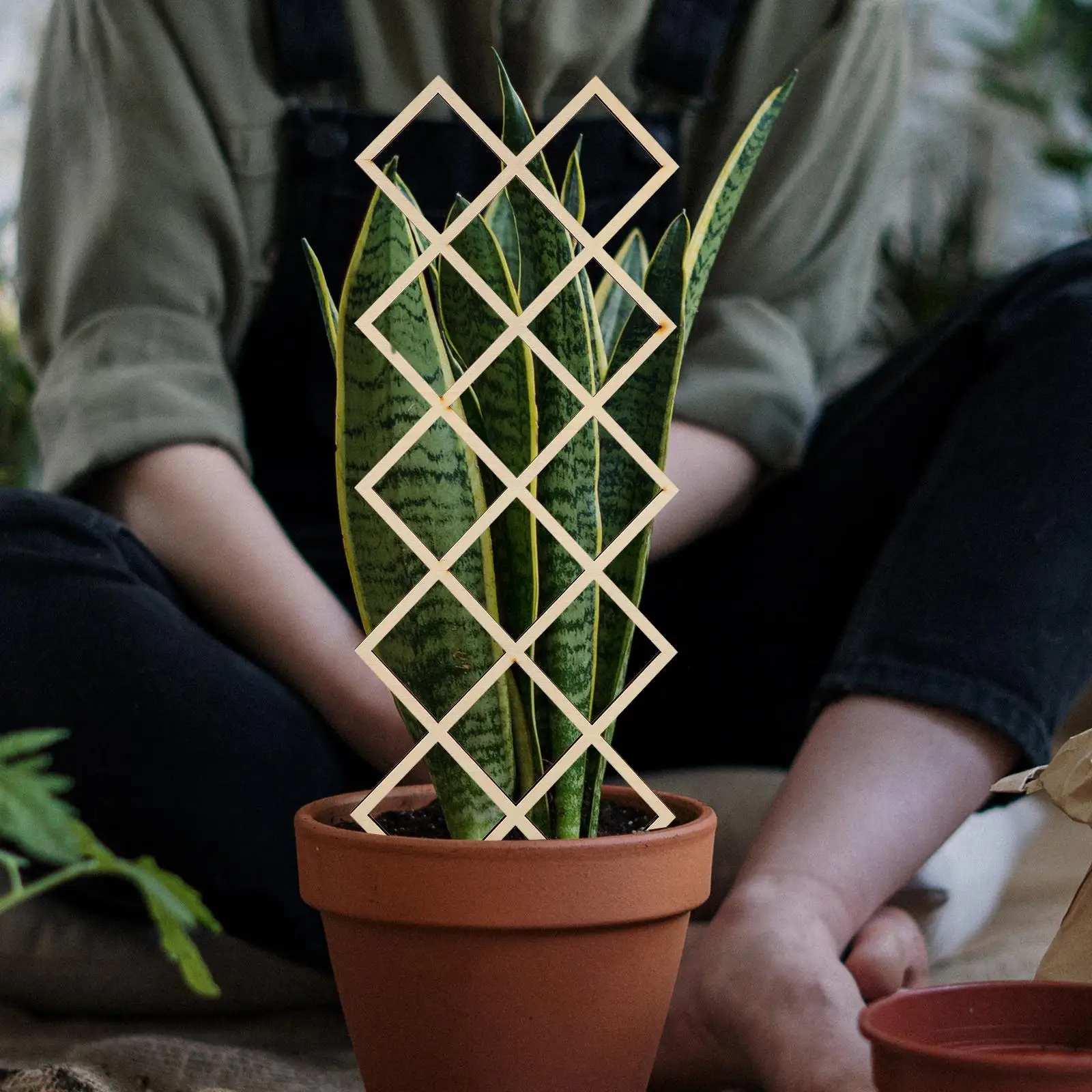 2Pcs Wooden Climbing St Durable Reusable Garden Trellis Wooden Plant Trellis Vine Support Patio Lawn Yard
2Pcs Wooden Climbing St Durable Reusable Garden Trellis Wooden Plant Trellis Vine Support Patio Lawn Yard