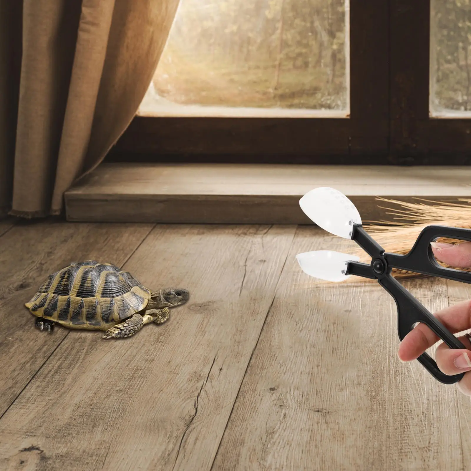 Reptile Clip Insect Feeder Tongs Eco Material Pet Supplies Reptile Tool Vivarium Accessories
Reptile Clip Insect Feeder Tongs Eco Material Pet Supplies Reptile Tool Vivarium Accessories