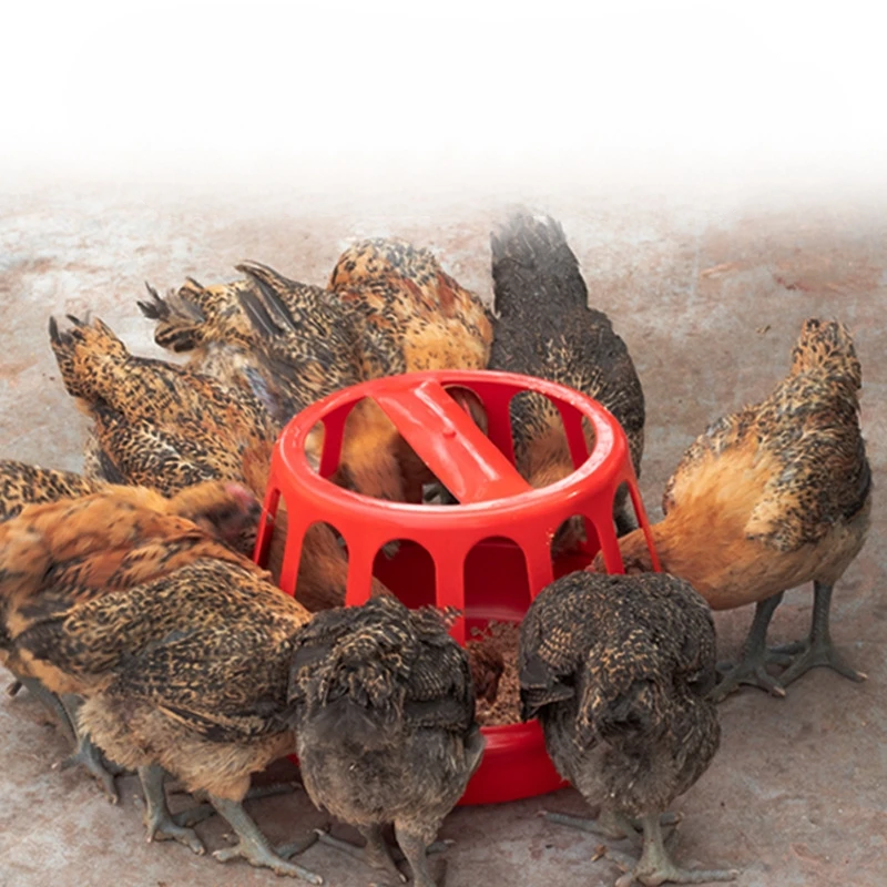 Chicken Feeder Opening Poultry Feeding Trough for Feed Durable Food Container for Chickens and Poultry
Chicken Feeder Opening Poultry Feeding Trough for Feed Durable Food Container for Chickens and Poultry