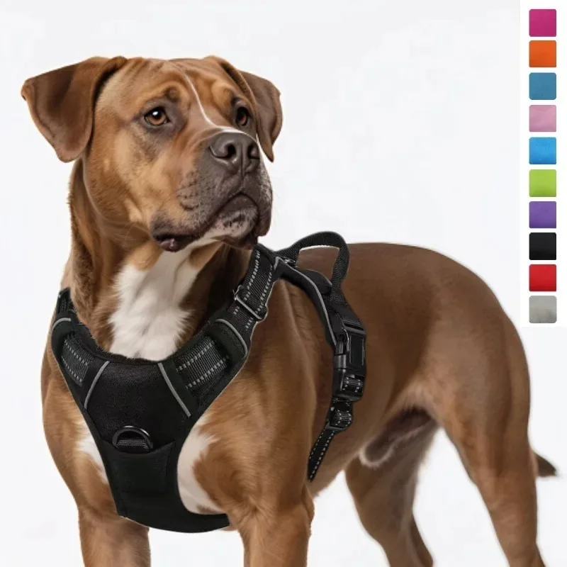 Leather Dog Harness and Leash Set with Collar, Soft Adjustable Puppy Harness for Small Medium Dogs, Complete Walking Set
Leather Dog Harness and Leash Set with Collar, Soft Adjustable Puppy Harness for Small Medium Dogs, Complete Walking Set