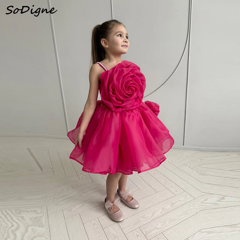SoDigne A-line Organza Mini Flower Girl Dress Sleeveless Pearls Arab Princess Kid Gown Birthday Party Dresses Customized
SoDigne A-line Organza Mini Flower Girl Dress Sleeveless Pearls Arab Princess Kid Gown Birthday Party Dresses Customized