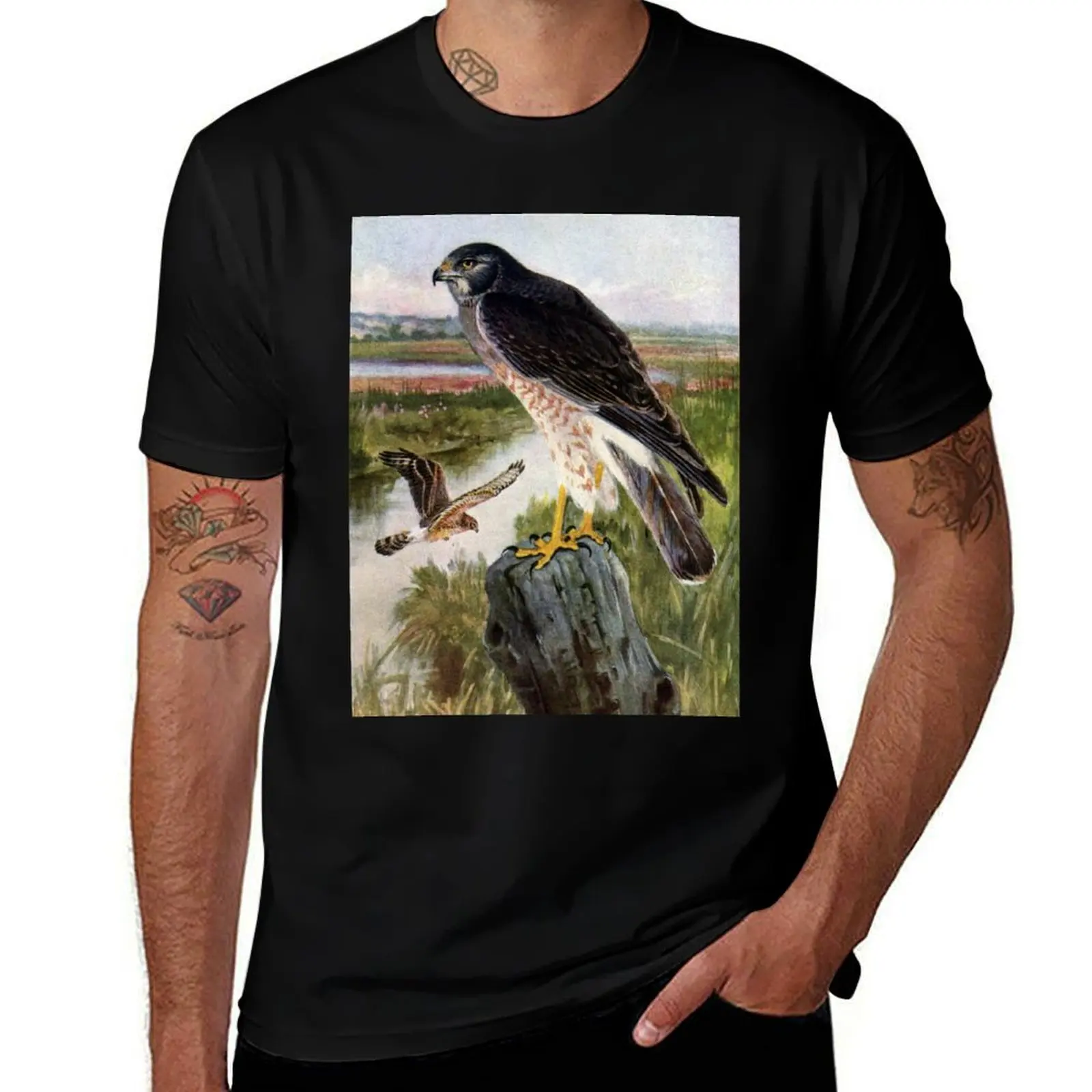 Marsh Hawk in Wetlands T-Shirt t shirts for man graphic vintage t shirt for man funny t shirts dark humor T-shirt
Marsh Hawk in Wetlands T-Shirt t shirts for man graphic vintage t shirt for man funny t shirts dark humor T-shirt