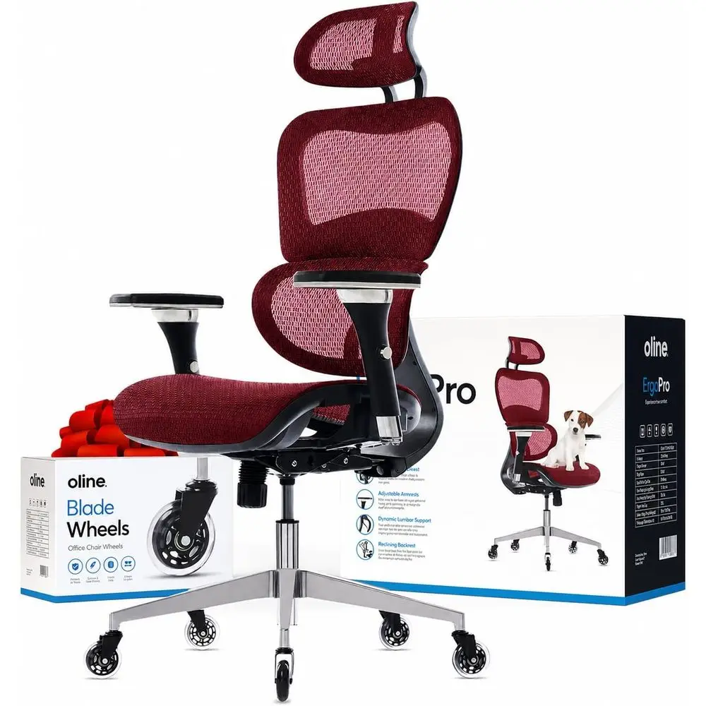 Mesh Ergonomic Office Chair with 4D Armrests, 3D Lumbar Support and Blade Wheels - Swivel Gaming Desk Chair for Home or Office (
Mesh Ergonomic Office Chair with 4D Armrests, 3D Lumbar Support and Blade Wheels - Swivel Gaming Desk Chair for Home or Office (
