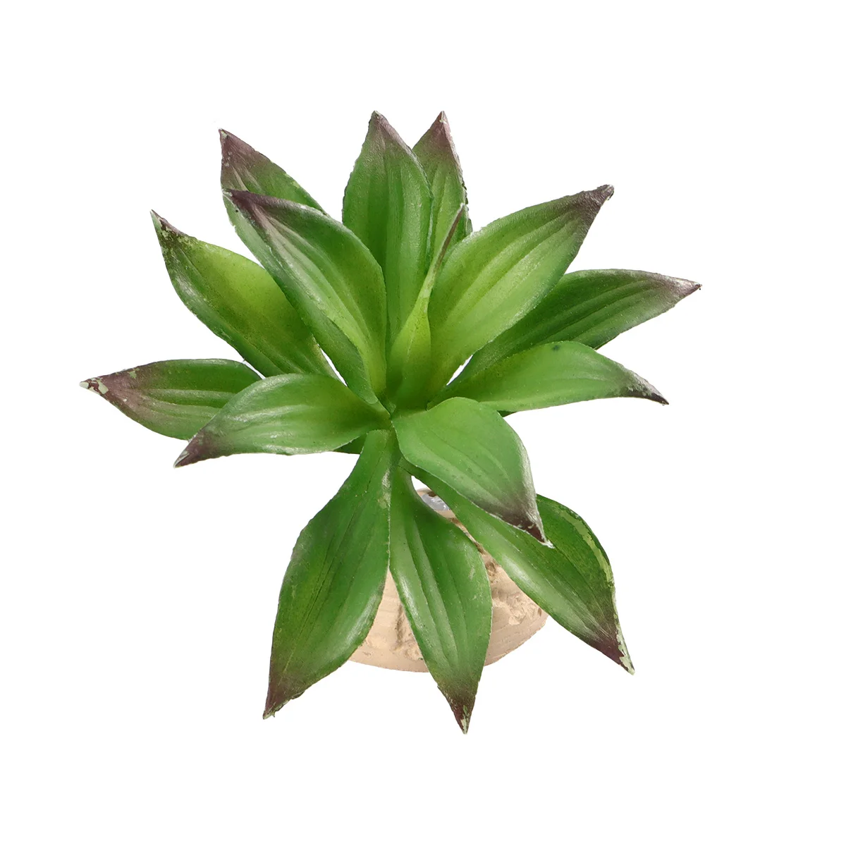 Simulation Plant Terrarium Decor for Reptile Tank Artificial Plants Aquarium Landscape Home Decoration Gladiolus Leaf
Simulation Plant Terrarium Decor for Reptile Tank Artificial Plants Aquarium Landscape Home Decoration Gladiolus Leaf