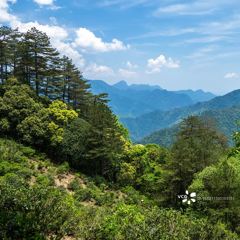 Caddx New Ratel PRO FPV камера 1500TVL 16:9/4:3 NTSC/PAL FOV125 ° Ночная камера Blacklight для гоночного дрона FPV
Caddx New Ratel PRO FPV камера 1500TVL 16:9/4:3 NTSC/PAL FOV125 ° Ночная камера Blacklight для гоночного дрона FPV