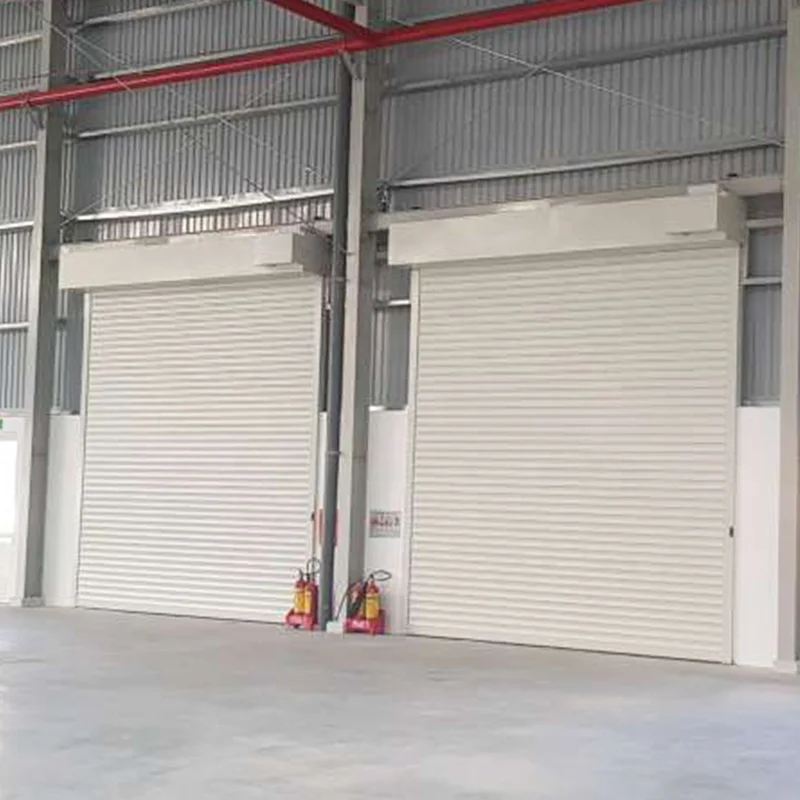 Customization Exterior Automatic Steel Factory Light Weight Perforated Roller Shutters
Customization Exterior Automatic Steel Factory Light Weight Perforated Roller Shutters