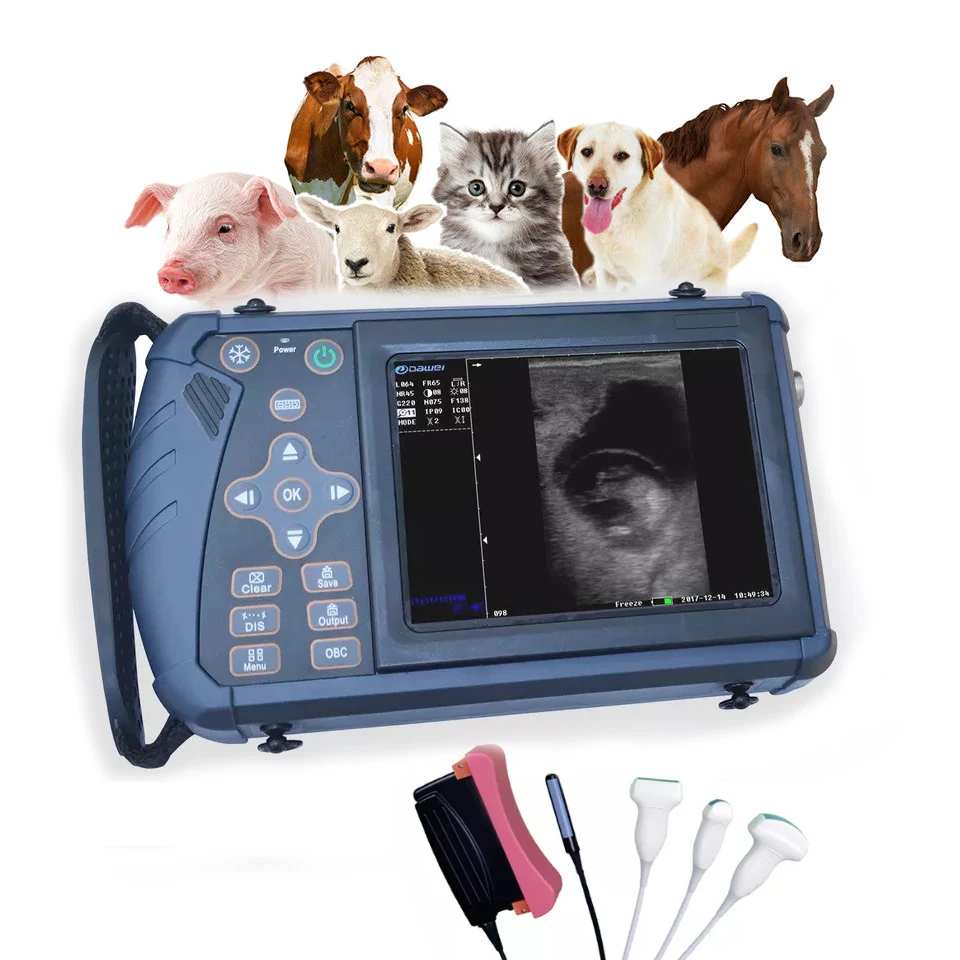 Portable Full Digital Veterinary Ultrasound Pregnancy Scanner for Cattle, Sheep, Pigs, Dogs and Cats
Portable Full Digital Veterinary Ultrasound Pregnancy Scanner for Cattle, Sheep, Pigs, Dogs and Cats