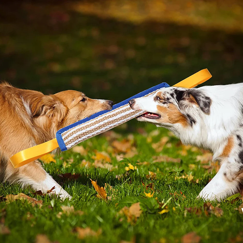 Dog Chew Outdoor Dog Train Bite Stick Training Tool Outdoor Bite Resistant Durable Pet Dental For Dogs
Dog Chew Outdoor Dog Train Bite Stick Training Tool Outdoor Bite Resistant Durable Pet Dental For Dogs