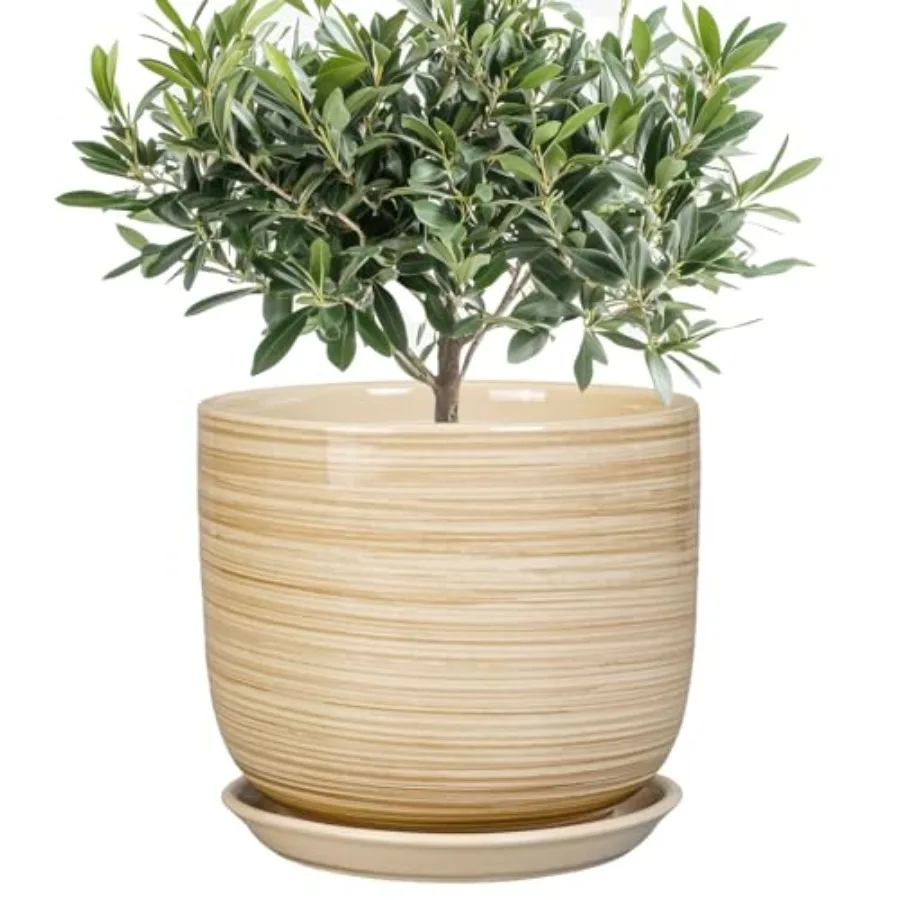 Indoor Plant Pot - Cylinder Modern Ceramic Planter for Indoor Outdoor Plants with Drainage Hole and Saucer House Office Home Ro
Indoor Plant Pot - Cylinder Modern Ceramic Planter for Indoor Outdoor Plants with Drainage Hole and Saucer House Office Home Ro