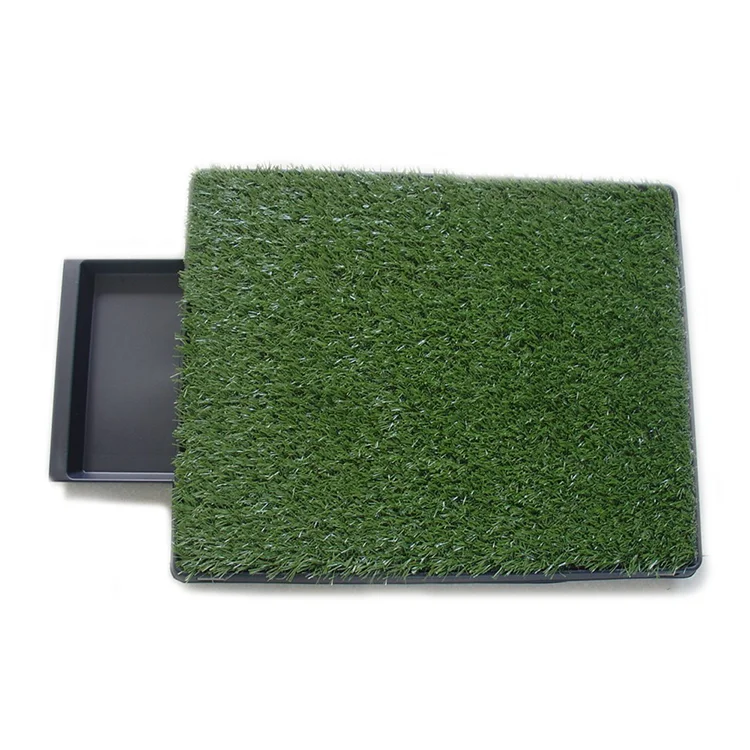Economical Awesome Dog Box Grass Patch Dog Grass Potty Training Dog Color Box
Economical Awesome Dog Box Grass Patch Dog Grass Potty Training Dog Color Box