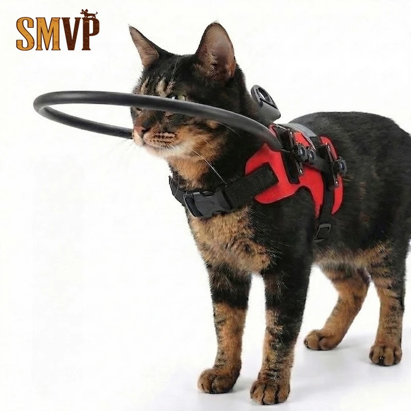 Blind Pet Safe Halo Anti-Collision Protector Ring for Blind Dogs and Cats Obstacle Avoidance Harness for Senior Pets Dog Collar
Blind Pet Safe Halo Anti-Collision Protector Ring for Blind Dogs and Cats Obstacle Avoidance Harness for Senior Pets Dog Collar