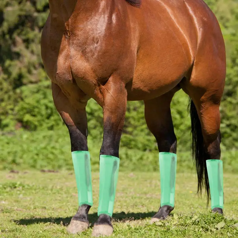 Fly Boots For Horses Set Of 4 4 PCS Fly Boots Reusable For Horses Fly Boots Horses Fly Leggings Horse Boots Ensures Comfort
Fly Boots For Horses Set Of 4 4 PCS Fly Boots Reusable For Horses Fly Boots Horses Fly Leggings Horse Boots Ensures Comfort