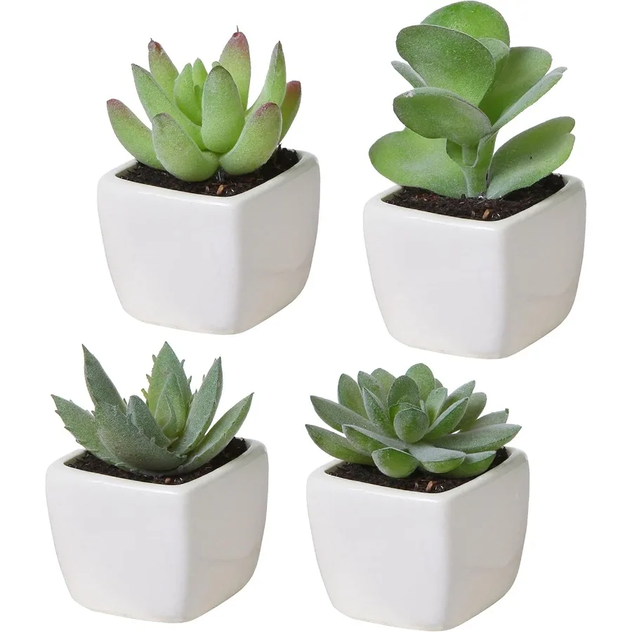 Set of 4 Mini Assorted Green Drative Artificial Succulent Plants in Square White Glazed Ceramic Planter Pots
Set of 4 Mini Assorted Green Drative Artificial Succulent Plants in Square White Glazed Ceramic Planter Pots