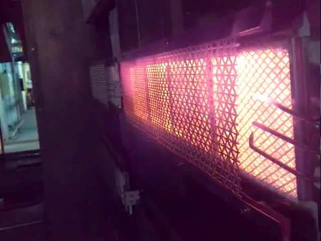 Газовая инфракрасная воздушная конвекционная горелка Промышленная керамическая горелка для выпечки Духовка с автоматическим управлением
Газовая инфракрасная воздушная конвекционная горелка Промышленная керамическая горелка для выпечки Духовка с автоматическим управлением