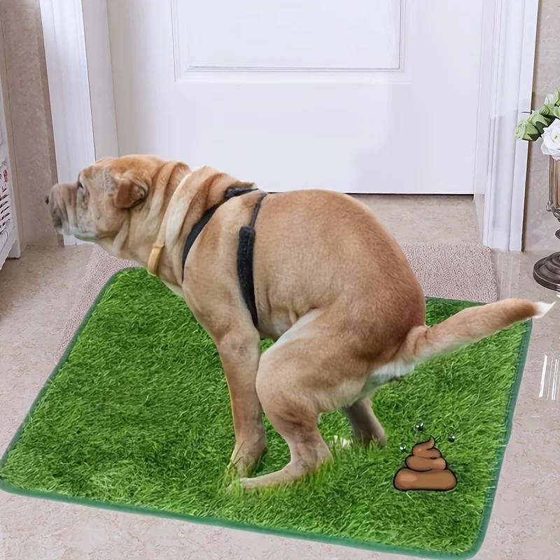 Ultimate Washable Dog Grass Mat - Reusable, Odor-Control Artificial Lawn for Pet Training, Easy-Clean Pee Pad Non-Slip Backing
Ultimate Washable Dog Grass Mat - Reusable, Odor-Control Artificial Lawn for Pet Training, Easy-Clean Pee Pad Non-Slip Backing