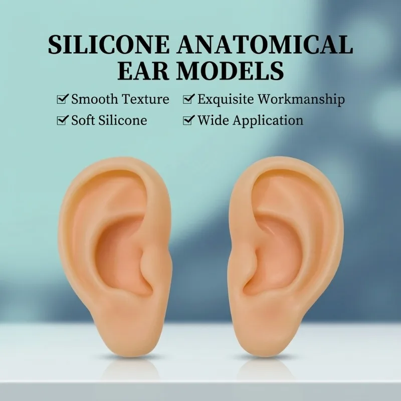 Silicone Realistic Ear Model Ear Acupoint Display Model for Acupuncture Teaching Ear Piercing Practice Pad Training Tool
Silicone Realistic Ear Model Ear Acupoint Display Model for Acupuncture Teaching Ear Piercing Practice Pad Training Tool