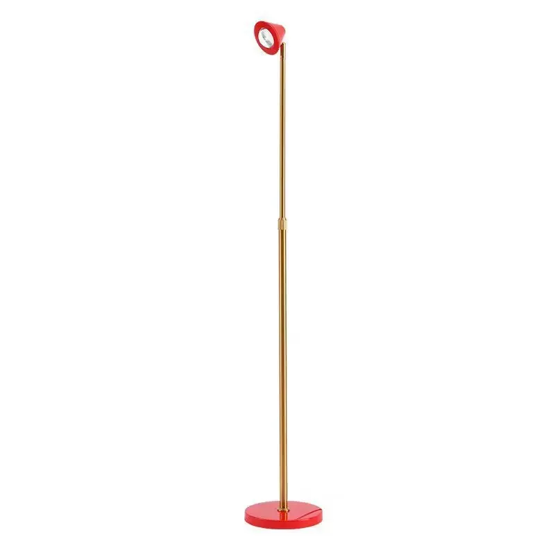 Floor lamp, light luxury in the living room, Little Red Riding Hood reading lamp by the sofa, sunset atmosphere
Floor lamp, light luxury in the living room, Little Red Riding Hood reading lamp by the sofa, sunset atmosphere