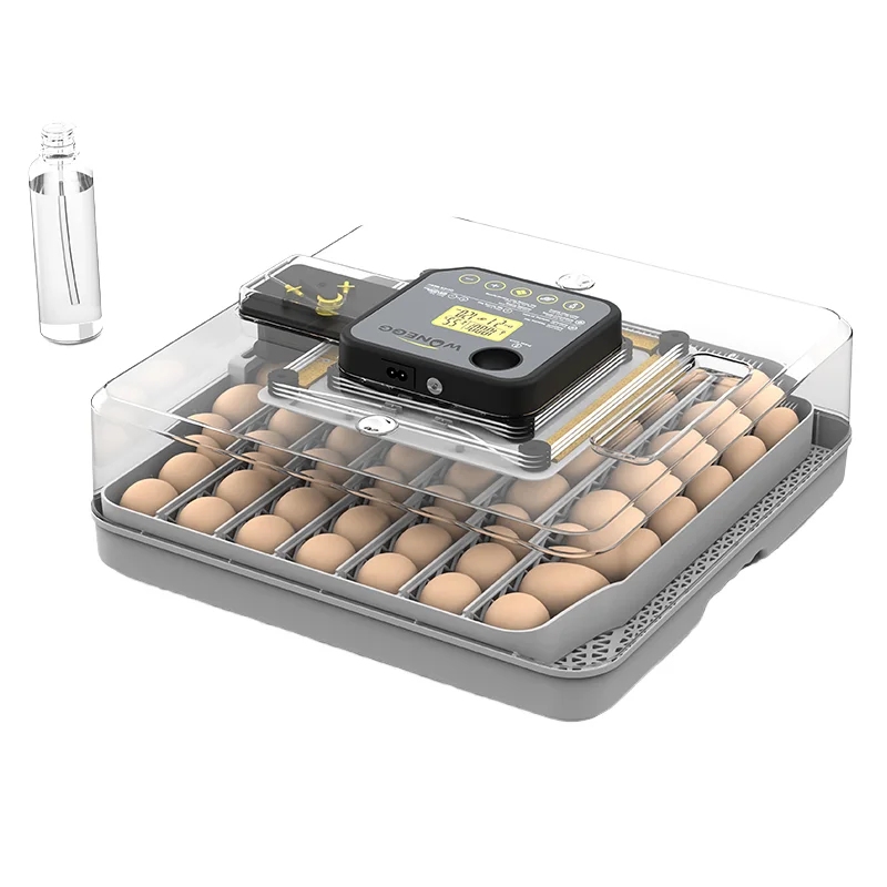 WONEGG 48H Chicken Egg Incubator, Dual Power Supply, Auto Temp Control & Egg Turning, High Accuracy
WONEGG 48H Chicken Egg Incubator, Dual Power Supply, Auto Temp Control & Egg Turning, High Accuracy