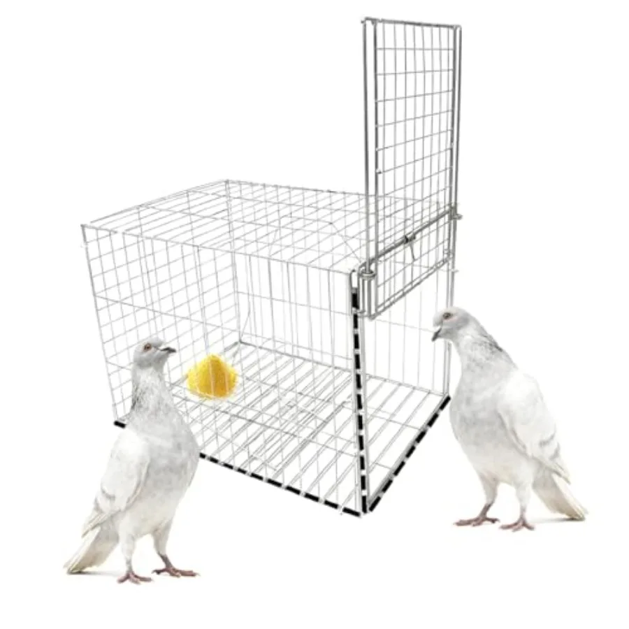 One Way Entry Pigeon Trap Portable and Easy to Assemble Outdoor Bird Cage with Escape Proof Design Spacious Bird Cage Pigeon Ca
One Way Entry Pigeon Trap Portable and Easy to Assemble Outdoor Bird Cage with Escape Proof Design Spacious Bird Cage Pigeon Ca