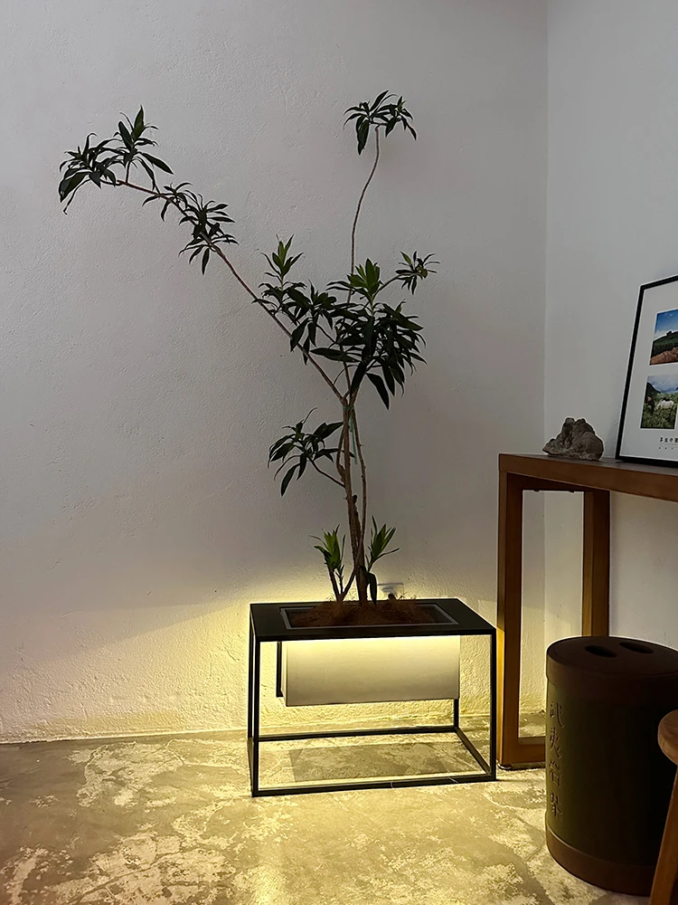 PQF Flower Stand High-End Decoration Indoor TV Cabinet Floor-Standing on Both Sides
PQF Flower Stand High-End Decoration Indoor TV Cabinet Floor-Standing on Both Sides