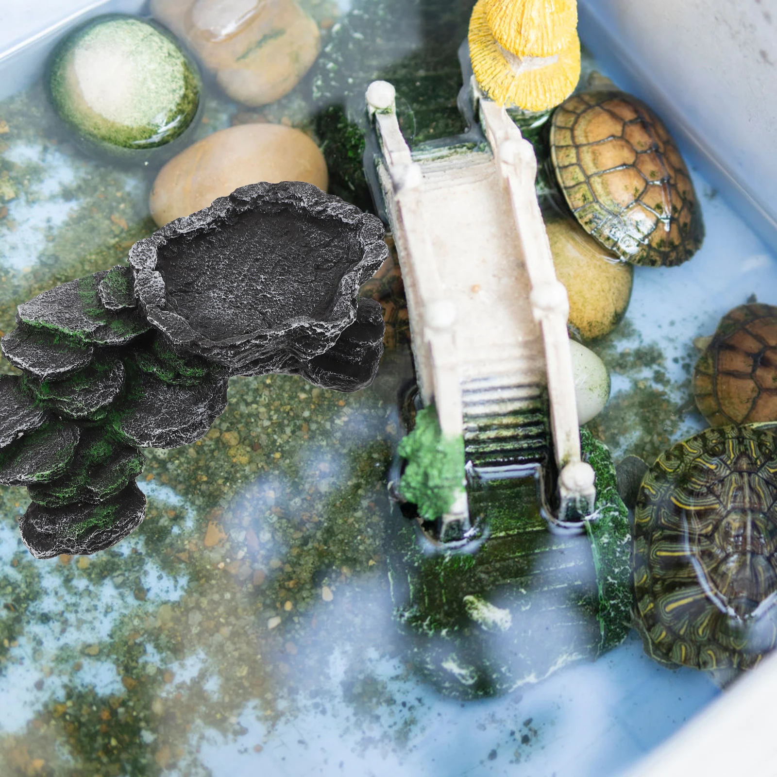 Resin Turtle Basking Platform For Aquarium Terrarium Reptile Habitat Fish Tank Decor Lizard Hideout Vivid Simulation
Resin Turtle Basking Platform For Aquarium Terrarium Reptile Habitat Fish Tank Decor Lizard Hideout Vivid Simulation