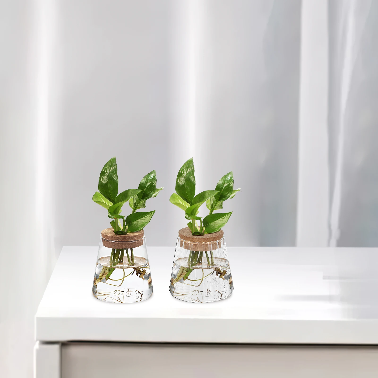 3 Pcs Hydroponic Plant Bottle Transparent Vase Desktop Decor Office Flower Arrangement Eco Terrarium Glass Planter
3 Pcs Hydroponic Plant Bottle Transparent Vase Desktop Decor Office Flower Arrangement Eco Terrarium Glass Planter