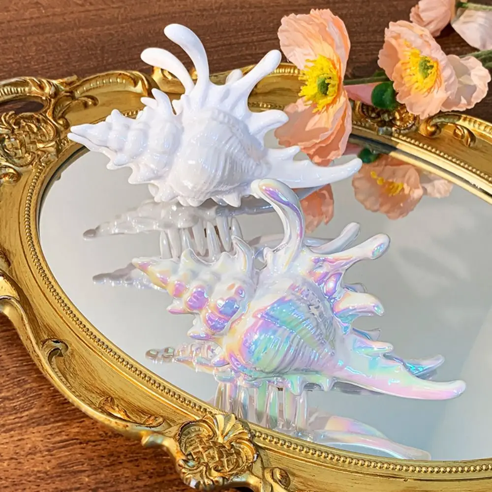 New Conch Hairpin Elegant Colorful Hair Claw Gift Shark Clip for Summer Beach
New Conch Hairpin Elegant Colorful Hair Claw Gift Shark Clip for Summer Beach