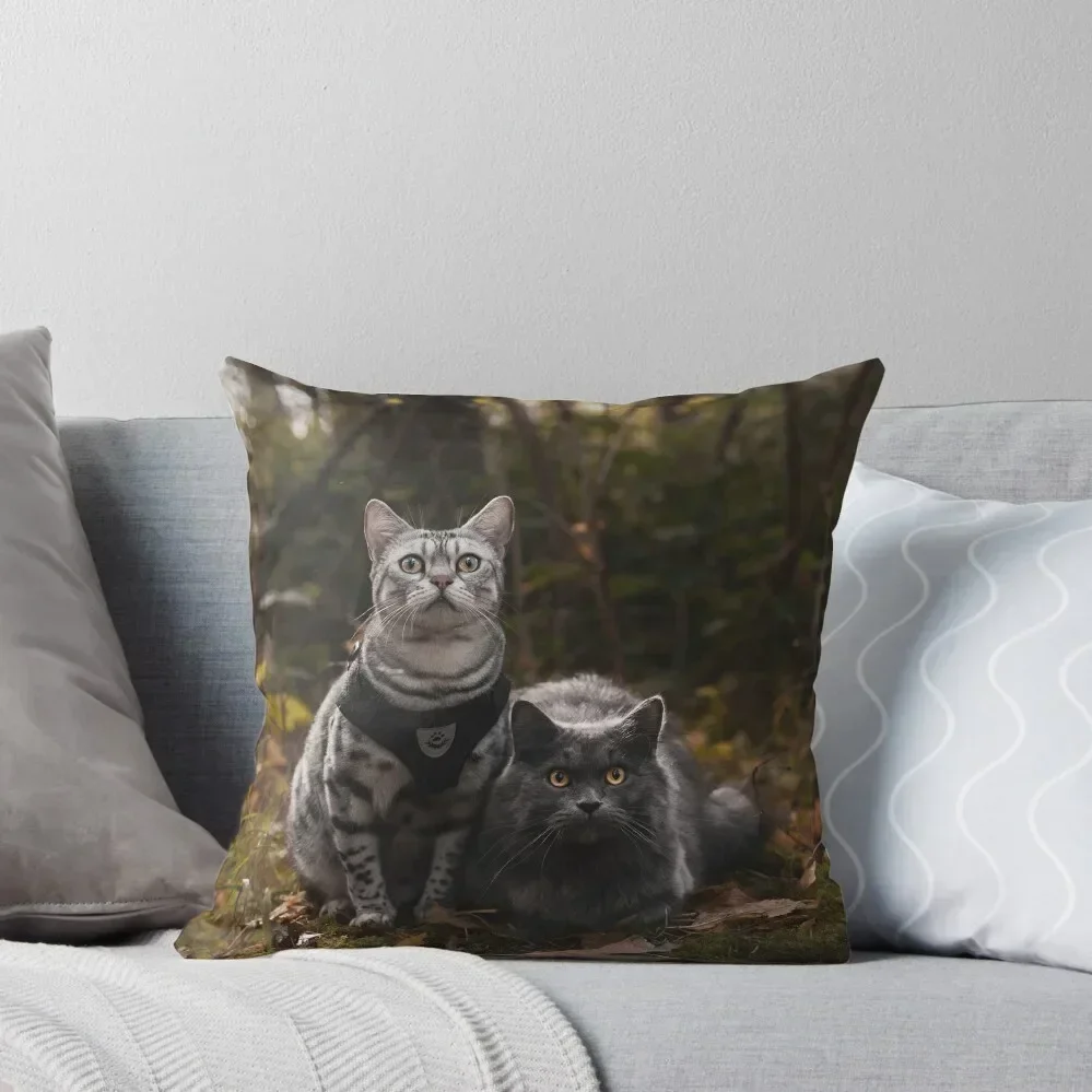 Apollo and Cosmo, Autumn Throw Pillow Pillow Cases Decorative home decor items Sofa Cushion Cover pillow
Apollo and Cosmo, Autumn Throw Pillow Pillow Cases Decorative home decor items Sofa Cushion Cover pillow