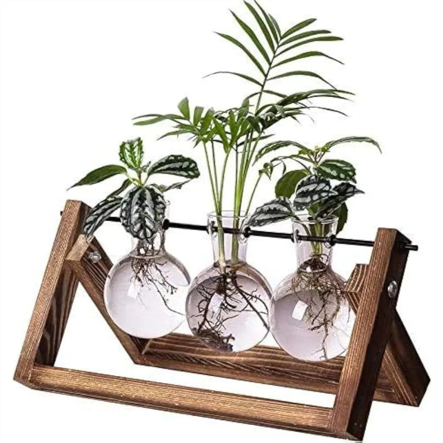 Plant Propagation Station with 3 Glass Bulb Vases and Wooden Stand for Hydroponics, Boho Desktop Terrarium for Home Office
Plant Propagation Station with 3 Glass Bulb Vases and Wooden Stand for Hydroponics, Boho Desktop Terrarium for Home Office