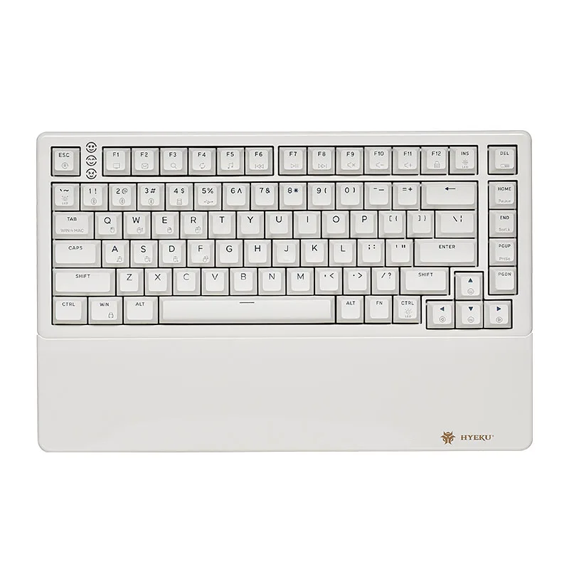 Hexgears E2 Wireless Mechanical Keyboard Wireless and Type-C Wired Connection, 100% Full-Size, Blue LED Backlit, Windows and Mac
Hexgears E2 Wireless Mechanical Keyboard Wireless and Type-C Wired Connection, 100% Full-Size, Blue LED Backlit, Windows and Mac