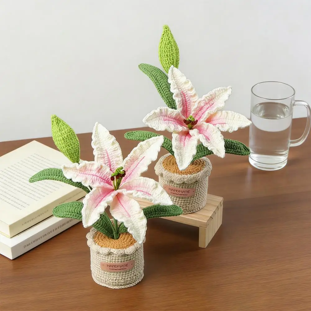 Вязаные крючком цветы для декора дома, ручной работы из пряжи, искусственные цветы в цветочных горшках, разноцветные, не требующие ухода, для рабочего стола, детской, дома
Вязаные крючком цветы для декора дома, ручной работы из пряжи, искусственные цветы в цветочных горшках, разноцветные, не требующие ухода, для рабочего стола, детской, дома