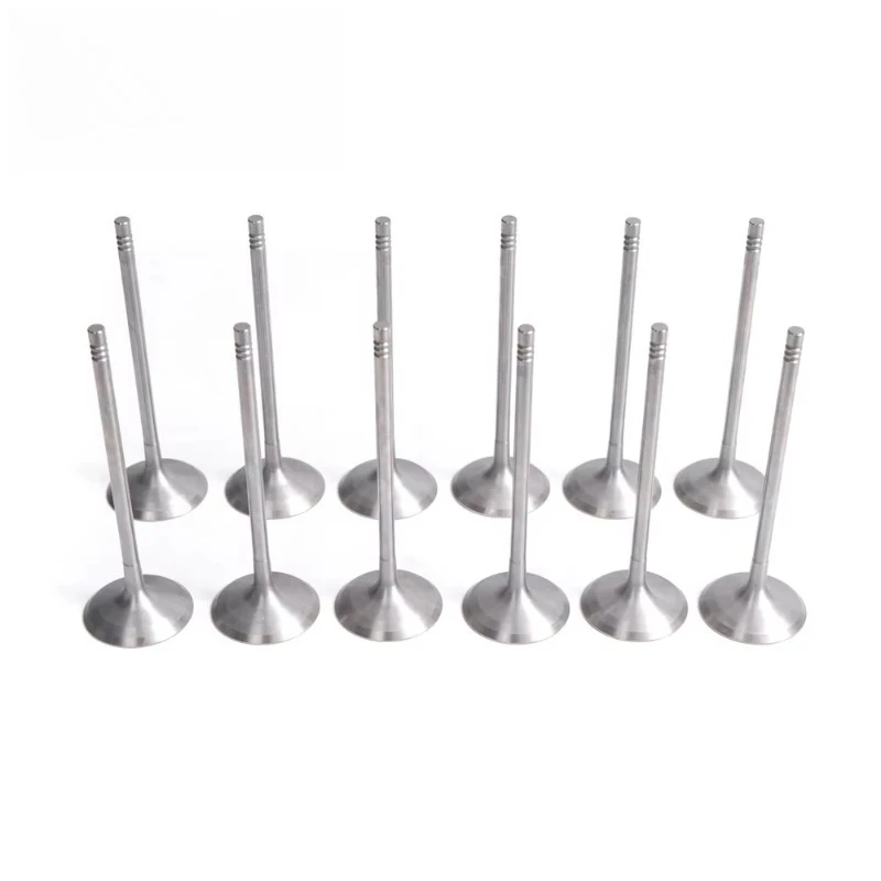 Set of 12Autoparts and Engine Accessories Valves Types air Intake System Hydraulic Valve Lifter 11347553771 for BMW N52B30
Set of 12Autoparts and Engine Accessories Valves Types air Intake System Hydraulic Valve Lifter 11347553771 for BMW N52B30