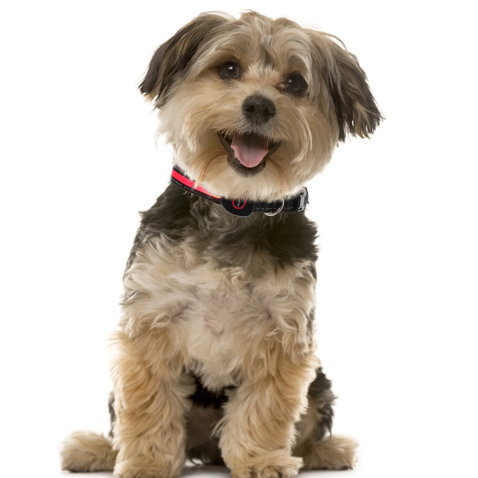 Luminous Pet Collar USB Charging Adjustable Nylon LED Light Collars for Dogs Night Safety Glow in Supplies Pet
Luminous Pet Collar USB Charging Adjustable Nylon LED Light Collars for Dogs Night Safety Glow in Supplies Pet