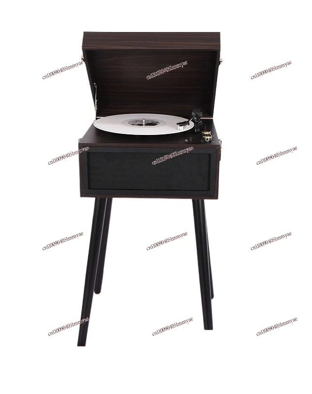 European Living Room Dynamic Magnetic Multi-function Vinyl Record Player
European Living Room Dynamic Magnetic Multi-function Vinyl Record Player