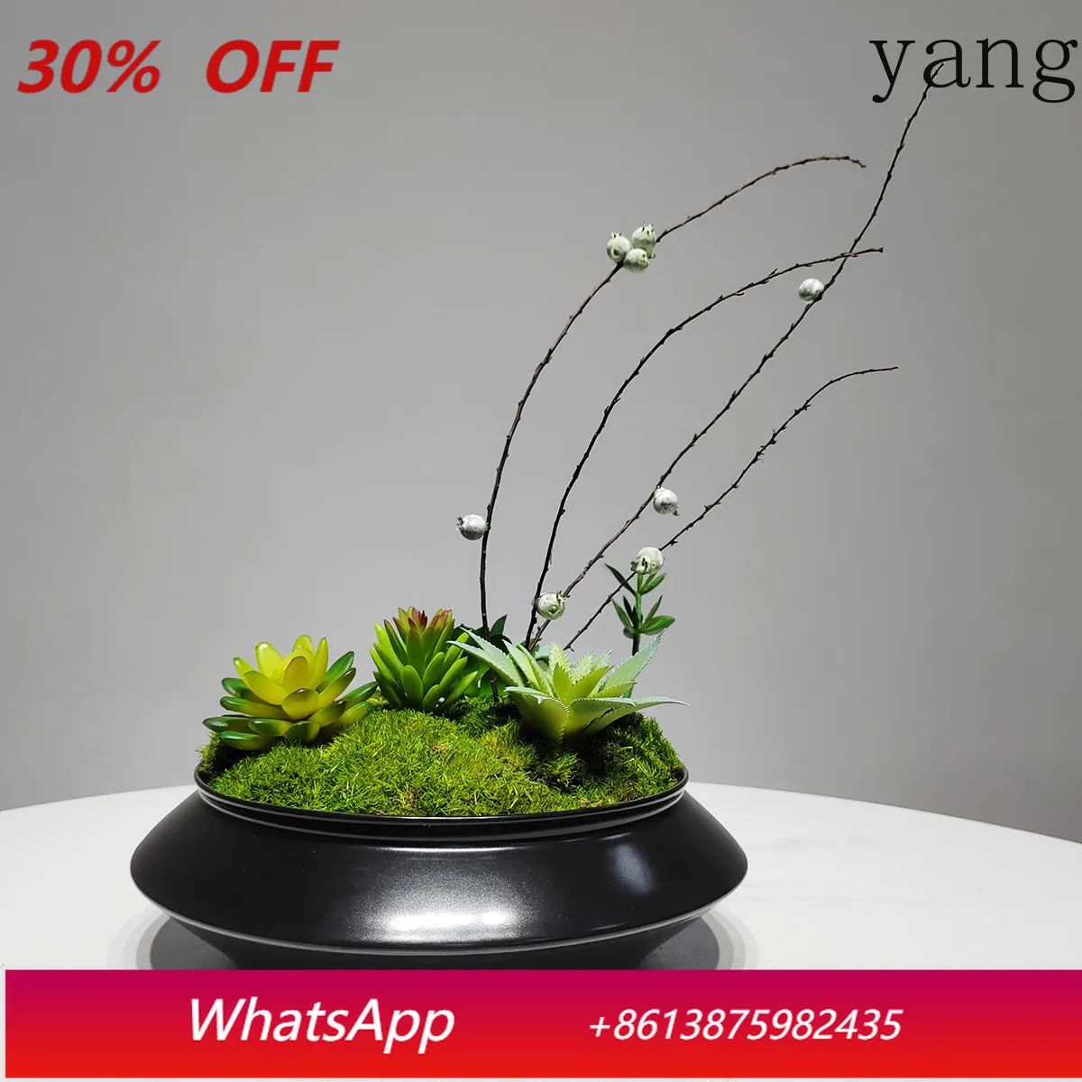 CX new Chinese-style zen bonsai simulation green plant model room hotel desktop moss micro-landscape ornament
CX new Chinese-style zen bonsai simulation green plant model room hotel desktop moss micro-landscape ornament