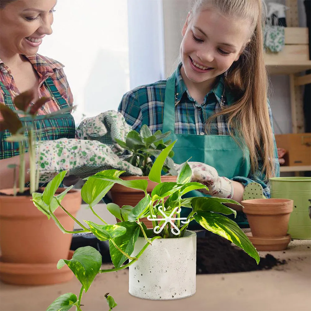 2pcs Plant Support Clips Stem Holder Acrylic Tool for Indoor Flowers Vegetables Garden Leaf Rack Stabilizer Fixation
2pcs Plant Support Clips Stem Holder Acrylic Tool for Indoor Flowers Vegetables Garden Leaf Rack Stabilizer Fixation