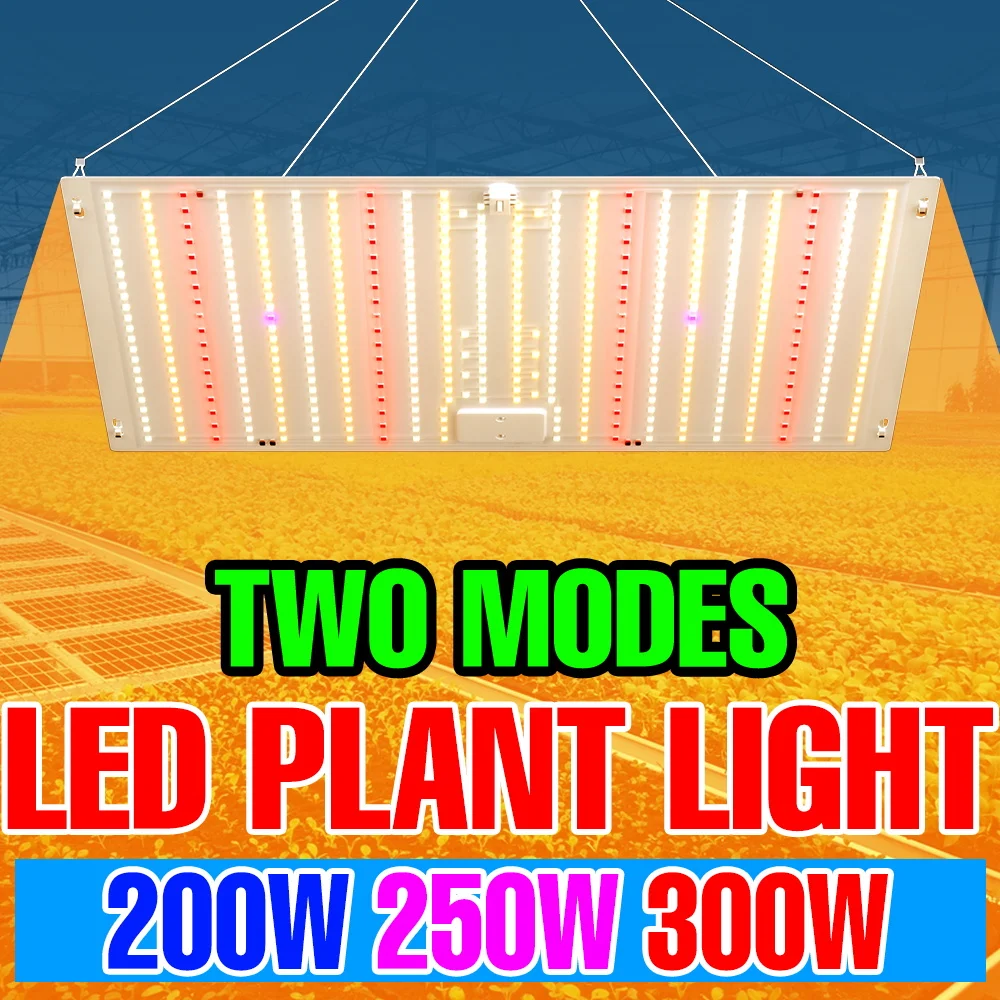 300W Full Spectrum Grow Light LED Quantum Board Plant Fill Lamp Indoor Greenhouse Tent Vegetables Potted Cultivation Lighting
300W Full Spectrum Grow Light LED Quantum Board Plant Fill Lamp Indoor Greenhouse Tent Vegetables Potted Cultivation Lighting