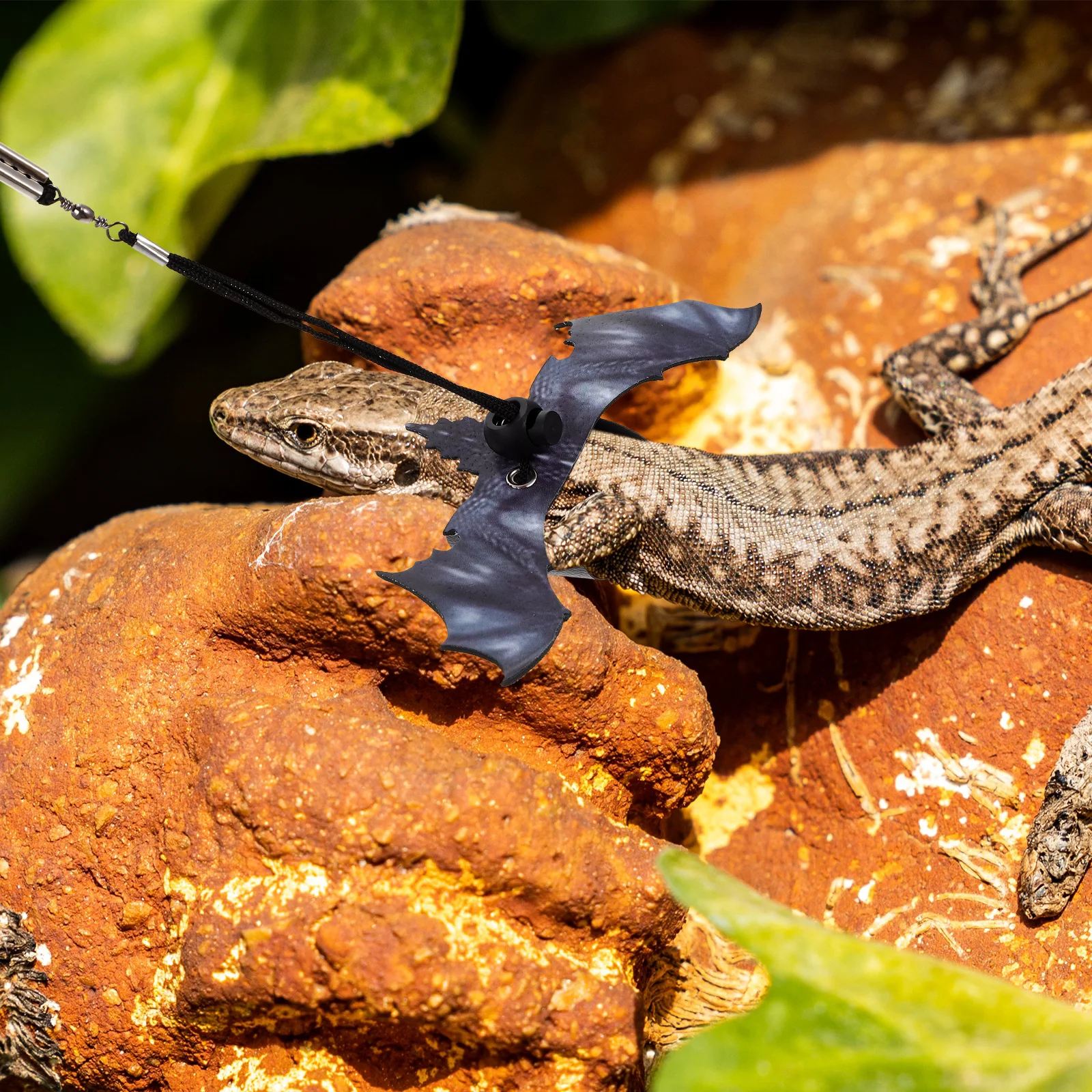 Small Animal Harness Rope Pet Leash Bearded Dragon Leashes and Harnesses for Reptiles
Small Animal Harness Rope Pet Leash Bearded Dragon Leashes and Harnesses for Reptiles