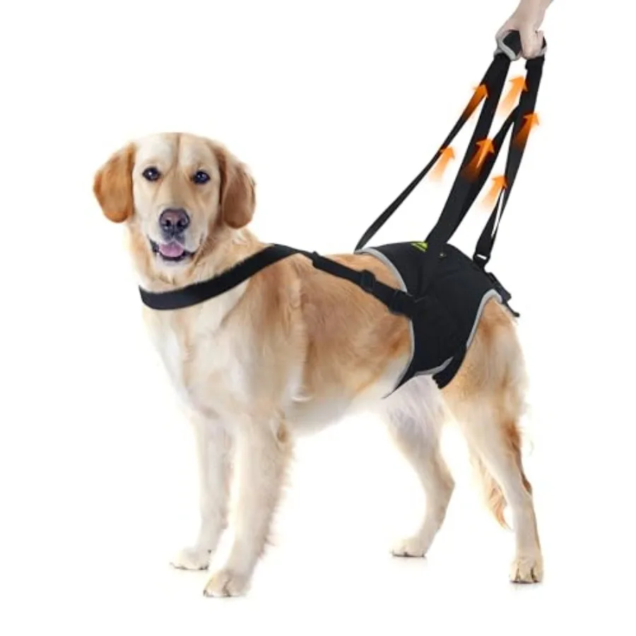 Dog Lift Harness for Extra Large Dogs, Sling for Dogs Back Legs with Handle, Helps Support Weak Hind Legs and Prevent Slipping,
Dog Lift Harness for Extra Large Dogs, Sling for Dogs Back Legs with Handle, Helps Support Weak Hind Legs and Prevent Slipping,