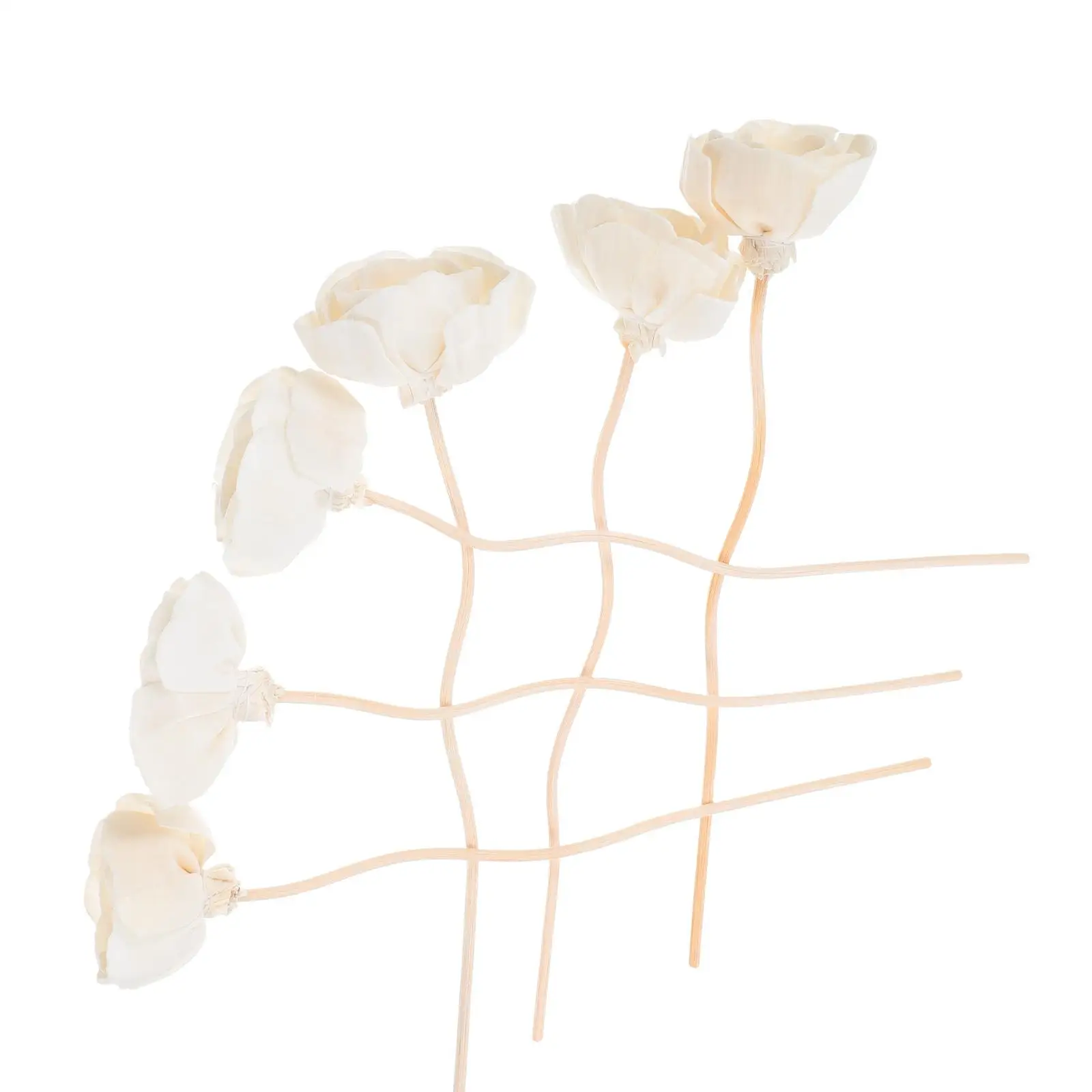 8 Pcs Flowers Flower Rattans Aromatherapy Rattan Vines Diffuser Sticks Home Scents Oil Rod Replacement Simulated Decor
8 Pcs Flowers Flower Rattans Aromatherapy Rattan Vines Diffuser Sticks Home Scents Oil Rod Replacement Simulated Decor