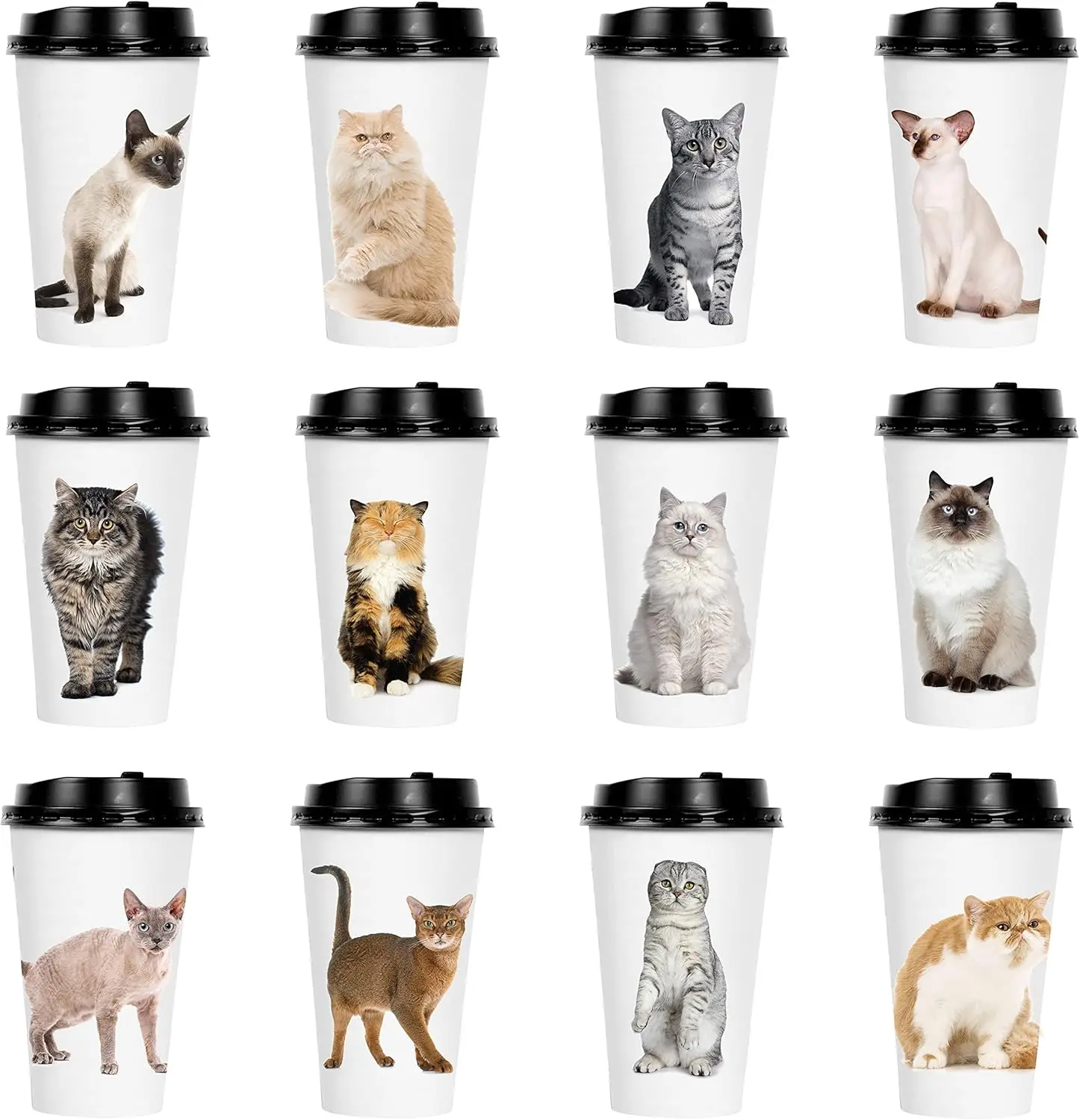 72 Sets Disposable Coffee Cups with Lids, To Go Hot Coffee Cups, Durable Paper Cups with Lids (Cat Kitten Theme Design)
72 Sets Disposable Coffee Cups with Lids, To Go Hot Coffee Cups, Durable Paper Cups with Lids (Cat Kitten Theme Design)