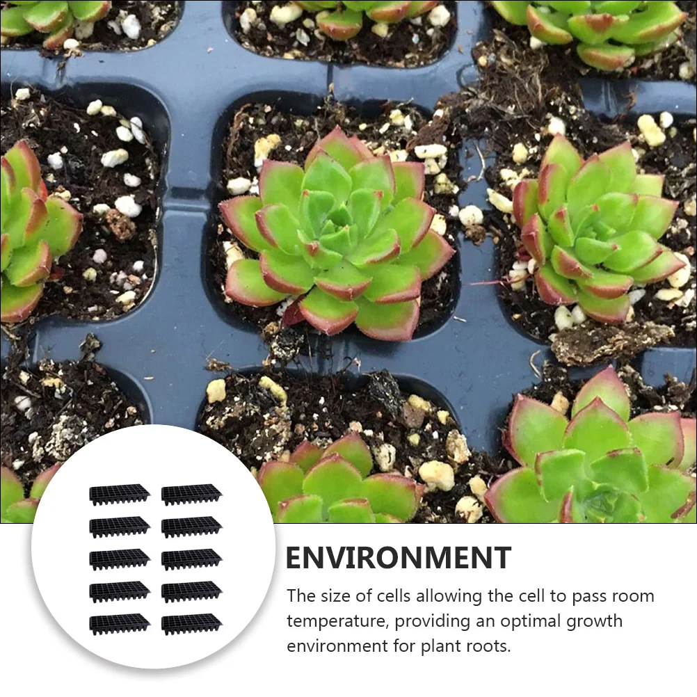 10 Pcs 50 Cells Seedling Tray Garden Germination Starter Planter Growing Trays Flowers Vegetables Saplings Herbs Easy Transplant
10 Pcs 50 Cells Seedling Tray Garden Germination Starter Planter Growing Trays Flowers Vegetables Saplings Herbs Easy Transplant