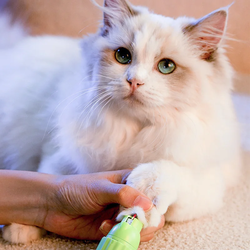 Полировальная машинка для ногтей Pet Cactus, перезаряжаемые инструменты для красоты, искусственные электрические ножницы, безболезненный уход за лапами домашних животных с низким уровнем шума
Полировальная машинка для ногтей Pet Cactus, перезаряжаемые инструменты для красоты, искусственные электрические ножницы, безболезненный уход за лапами домашних животных с низким уровнем шума