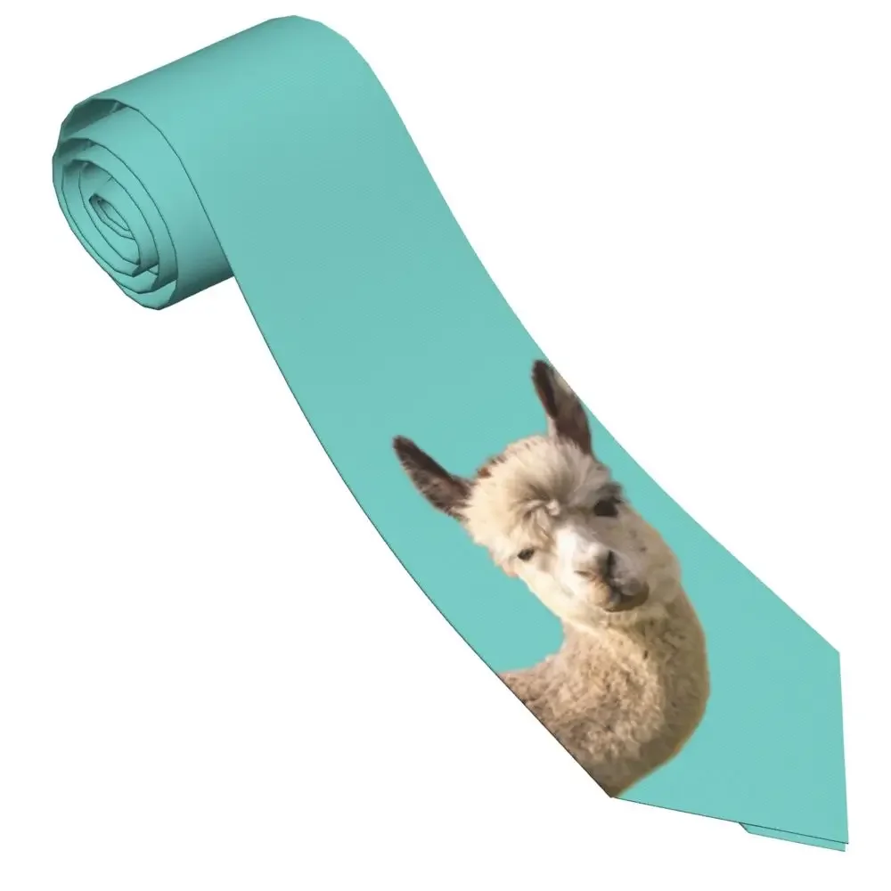 Funny Alpaca Necktie Men Women Polyester 8 cm Llama Isolated Neck Ties for Mens Silk Wide Shirt Accessories Office
Funny Alpaca Necktie Men Women Polyester 8 cm Llama Isolated Neck Ties for Mens Silk Wide Shirt Accessories Office