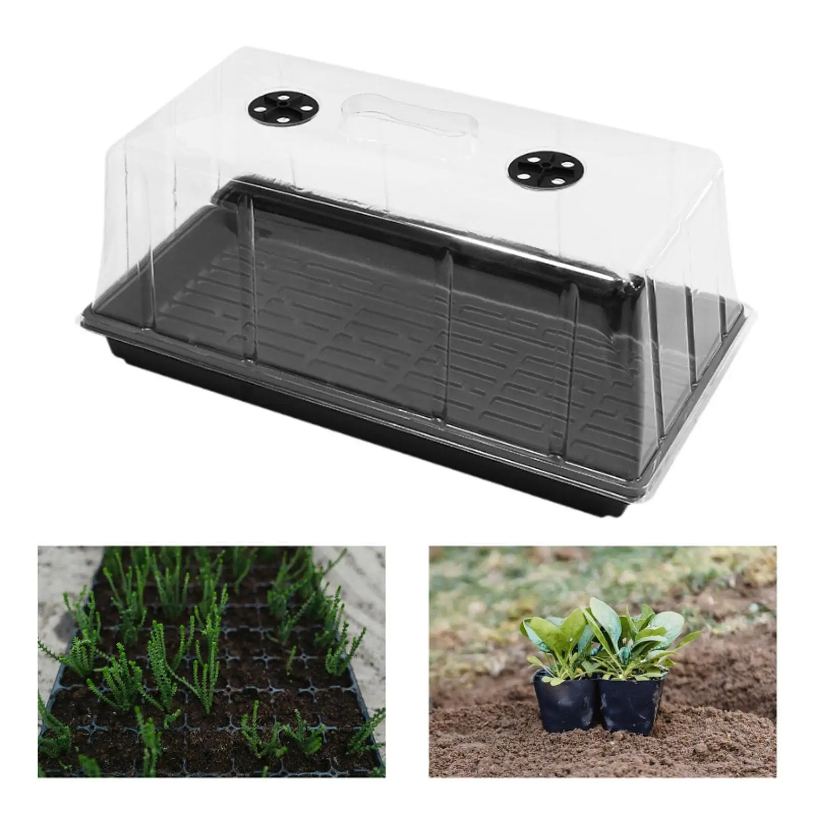 Seedling Tray Black Plastic Plant Starter Set Planter Tool Garden Seed Germination Tray for Indoor Plants
Seedling Tray Black Plastic Plant Starter Set Planter Tool Garden Seed Germination Tray for Indoor Plants