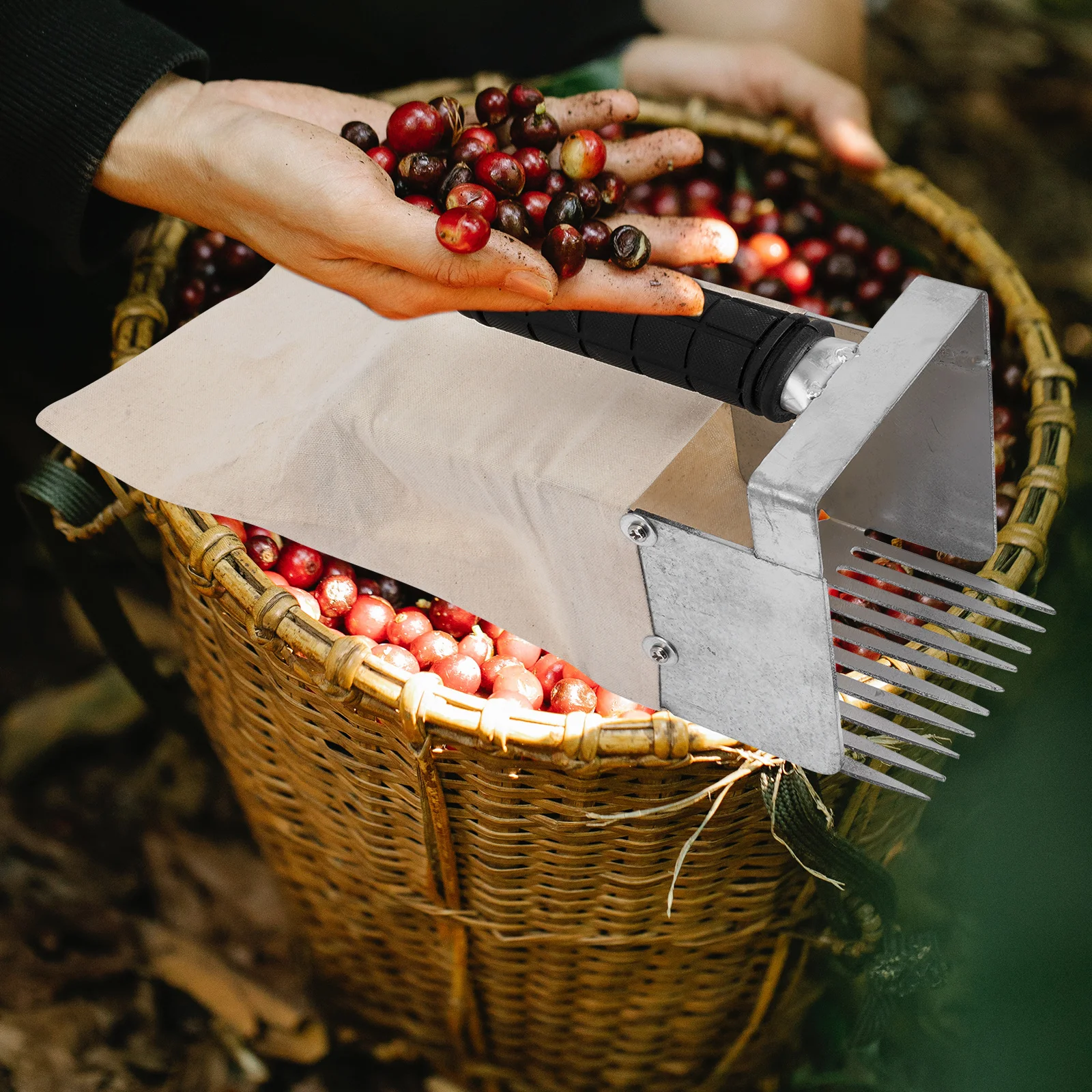 Berry Picker Easy Clean Blueberry Rake Picker Tool Fruit Collector for Blueberries Garden Supplies Blueberry Rake for
Berry Picker Easy Clean Blueberry Rake Picker Tool Fruit Collector for Blueberries Garden Supplies Blueberry Rake for