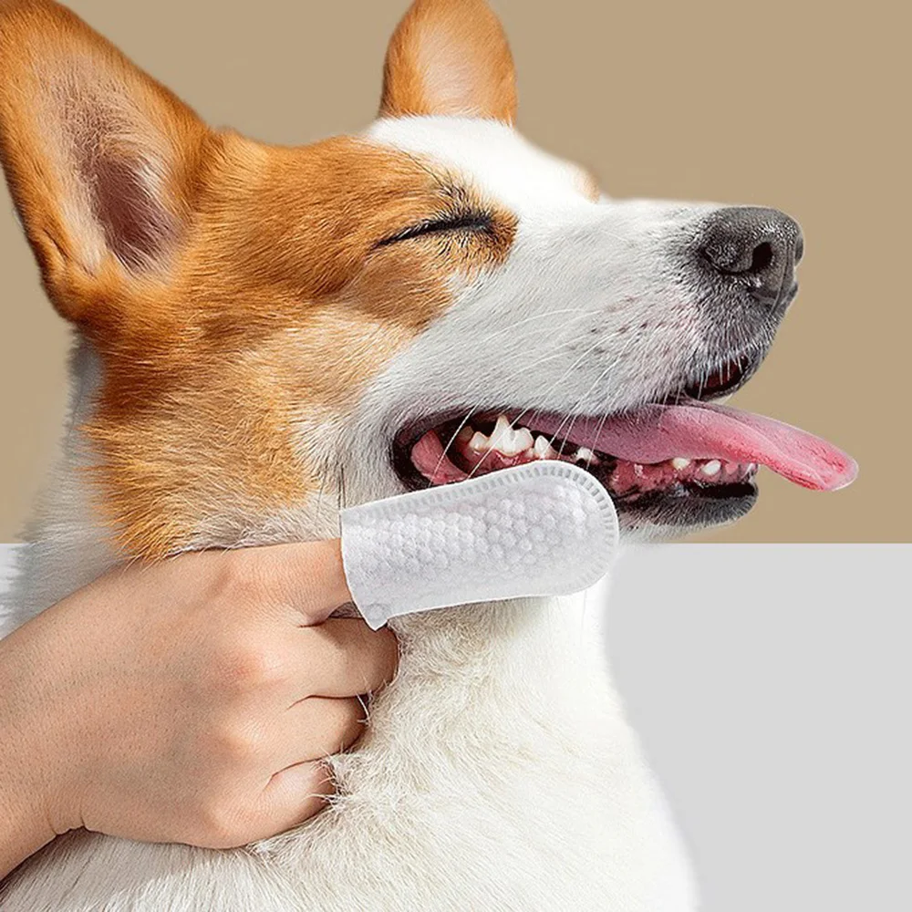 50pcs Pet Cleaning Wipes Disposable Dog Cat Ear Eye Teeth Cleaning Finger Wipes Pet Brush Teeth Ear Canal Cleaning Supplies
50pcs Pet Cleaning Wipes Disposable Dog Cat Ear Eye Teeth Cleaning Finger Wipes Pet Brush Teeth Ear Canal Cleaning Supplies