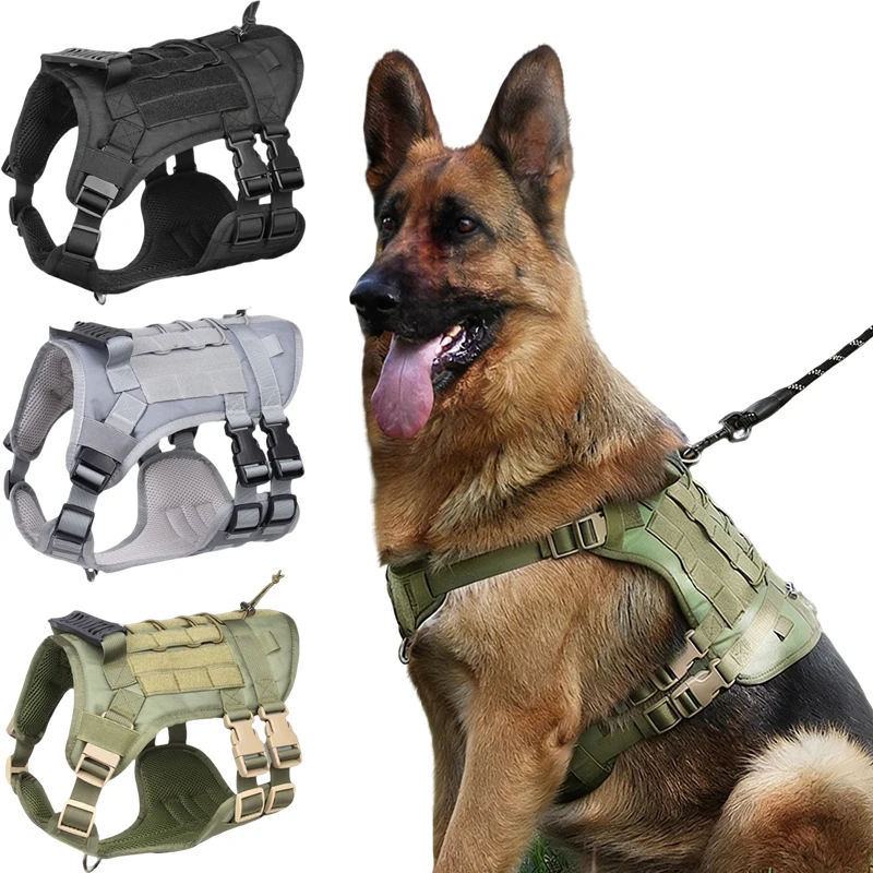 Тактический светоотражающий военный жилет для собак для больших собак, рабочих собак с ручкой, легкий контроль, регулируемые ремни
Тактический светоотражающий военный жилет для собак для больших собак, рабочих собак с ручкой, легкий контроль, регулируемые ремни