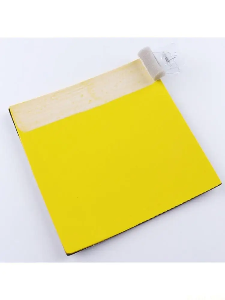M5TC Ergonomic Handle Foam Brush Table Tennis Racket Sponge Wipe Cleaning Brush
M5TC Ergonomic Handle Foam Brush Table Tennis Racket Sponge Wipe Cleaning Brush