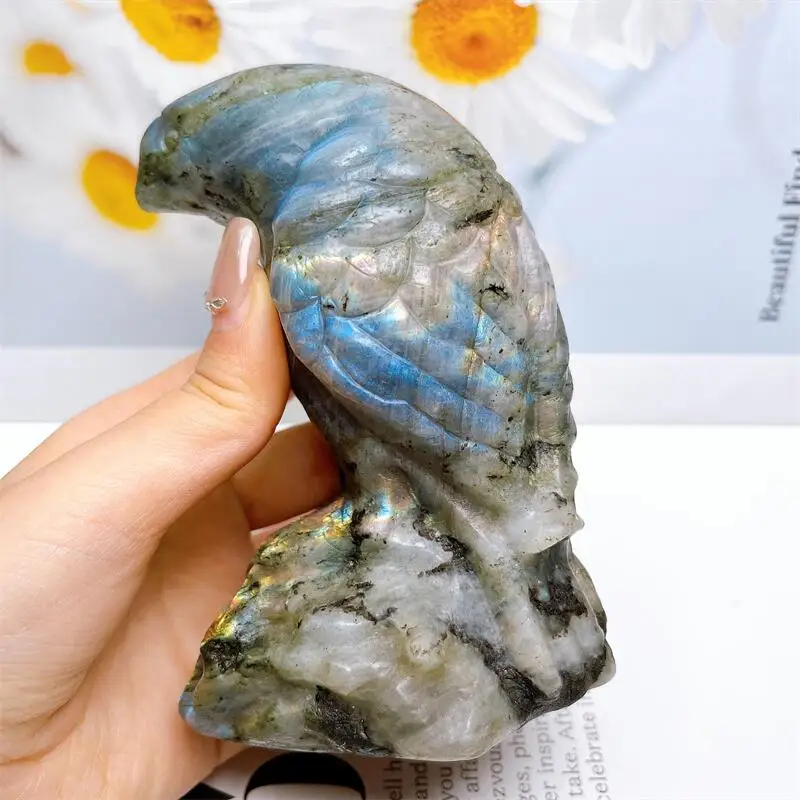 Natural Labradorite Crow Carving Reiki Healing Stones Feng Shui Craft Carved For Decor Holiday Gift 1PCS
Natural Labradorite Crow Carving Reiki Healing Stones Feng Shui Craft Carved For Decor Holiday Gift 1PCS